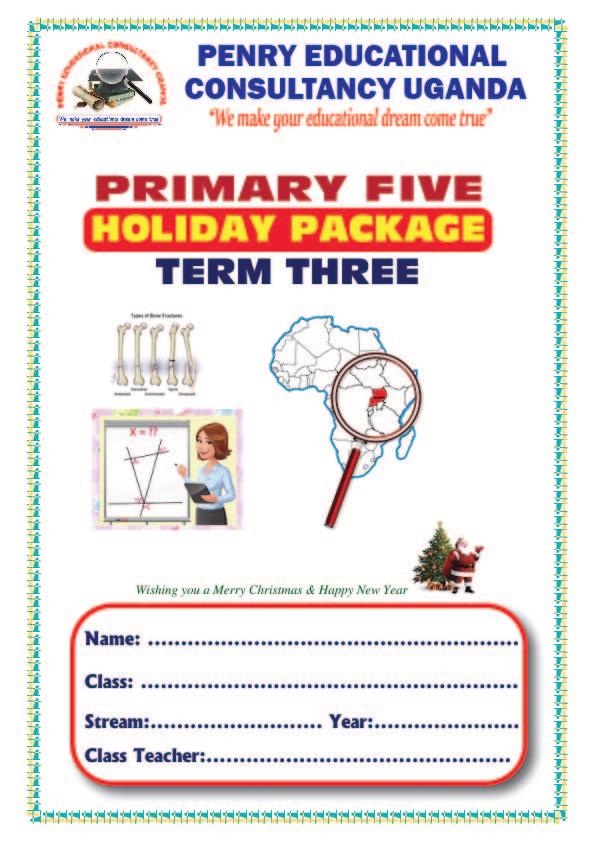Holiday Package